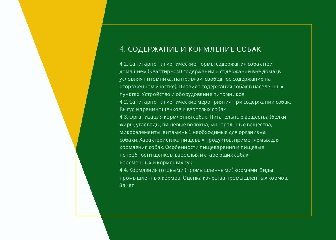 велес обучение официальный сайт. Смотреть фото велес обучение официальный сайт. Смотреть картинку велес обучение официальный сайт. Картинка про велес обучение официальный сайт. Фото велес обучение официальный сайт