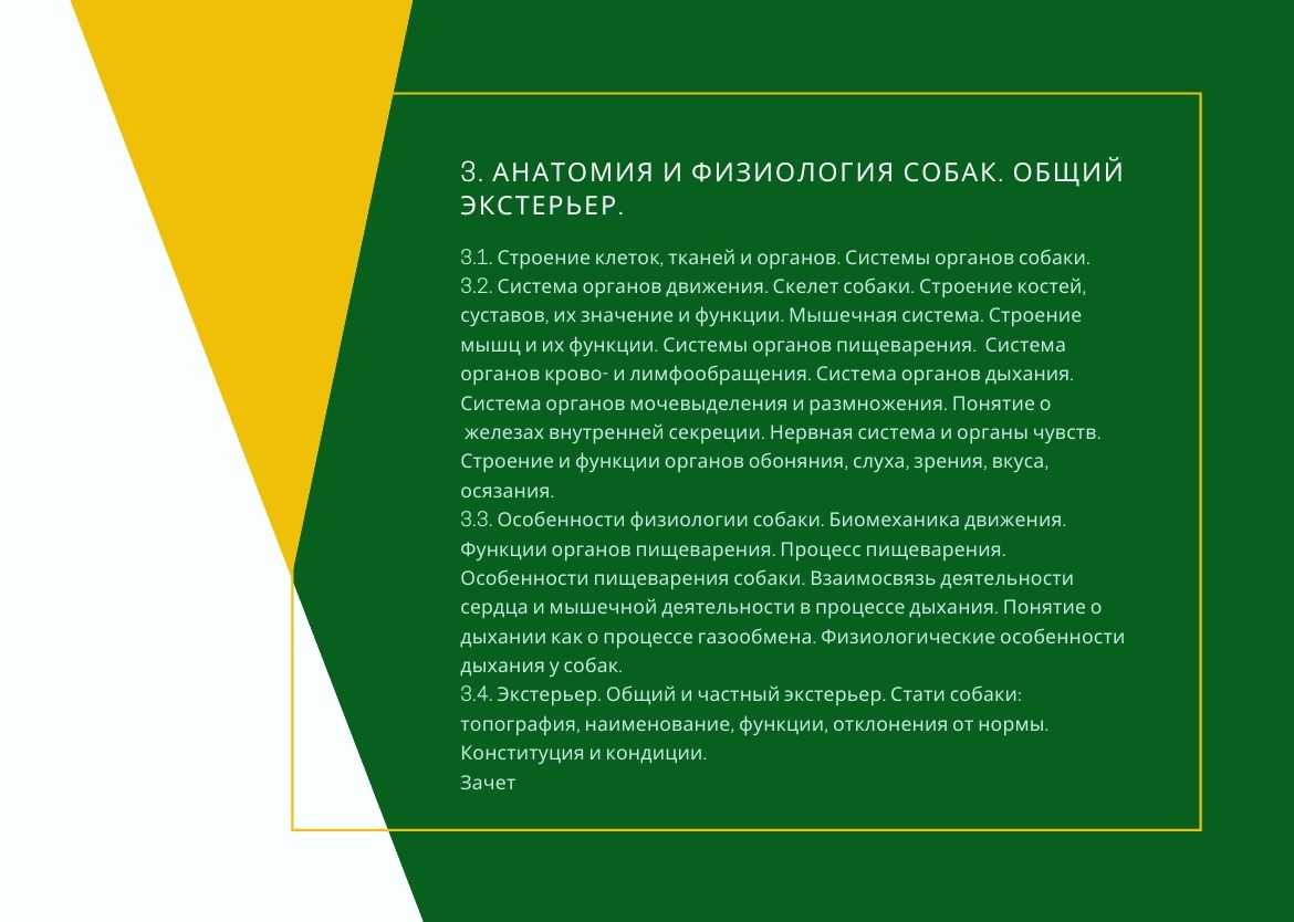 велес обучение официальный сайт. Смотреть фото велес обучение официальный сайт. Смотреть картинку велес обучение официальный сайт. Картинка про велес обучение официальный сайт. Фото велес обучение официальный сайт