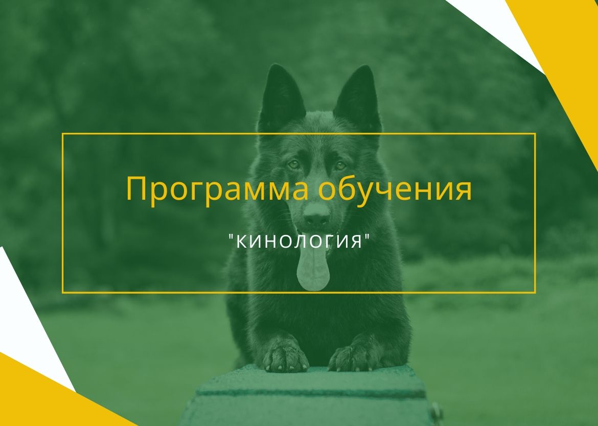 велес обучение официальный сайт. Смотреть фото велес обучение официальный сайт. Смотреть картинку велес обучение официальный сайт. Картинка про велес обучение официальный сайт. Фото велес обучение официальный сайт