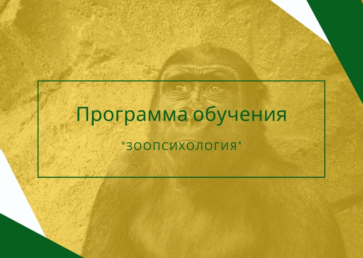велес обучение официальный сайт. Смотреть фото велес обучение официальный сайт. Смотреть картинку велес обучение официальный сайт. Картинка про велес обучение официальный сайт. Фото велес обучение официальный сайт