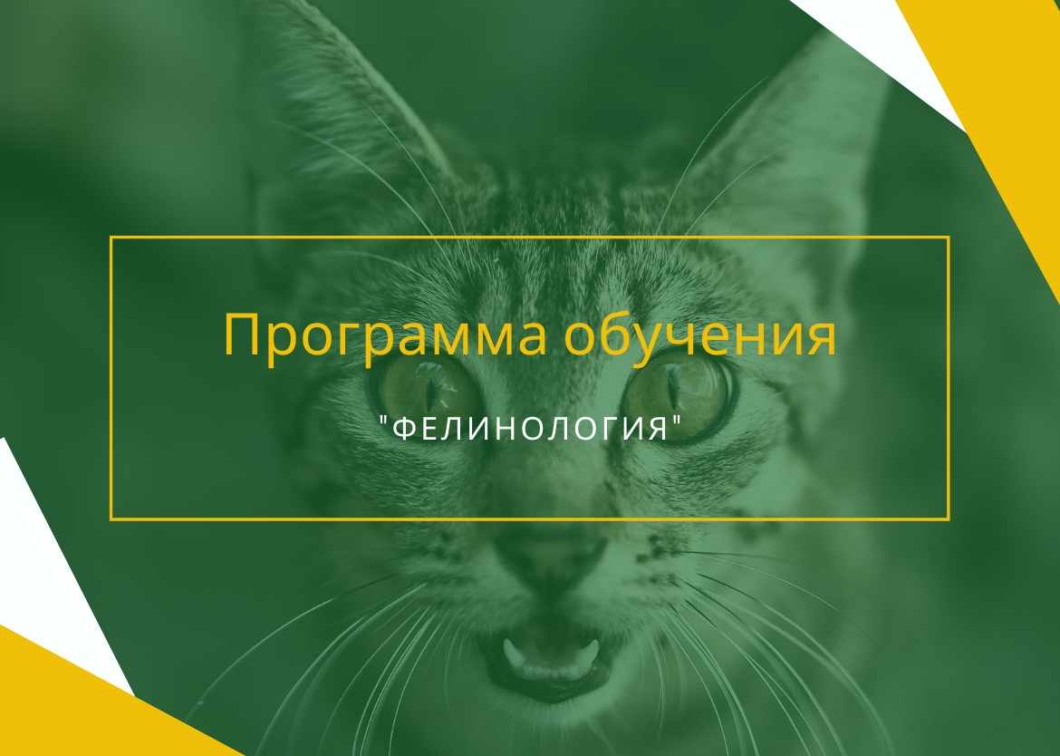 велес обучение официальный сайт. Смотреть фото велес обучение официальный сайт. Смотреть картинку велес обучение официальный сайт. Картинка про велес обучение официальный сайт. Фото велес обучение официальный сайт